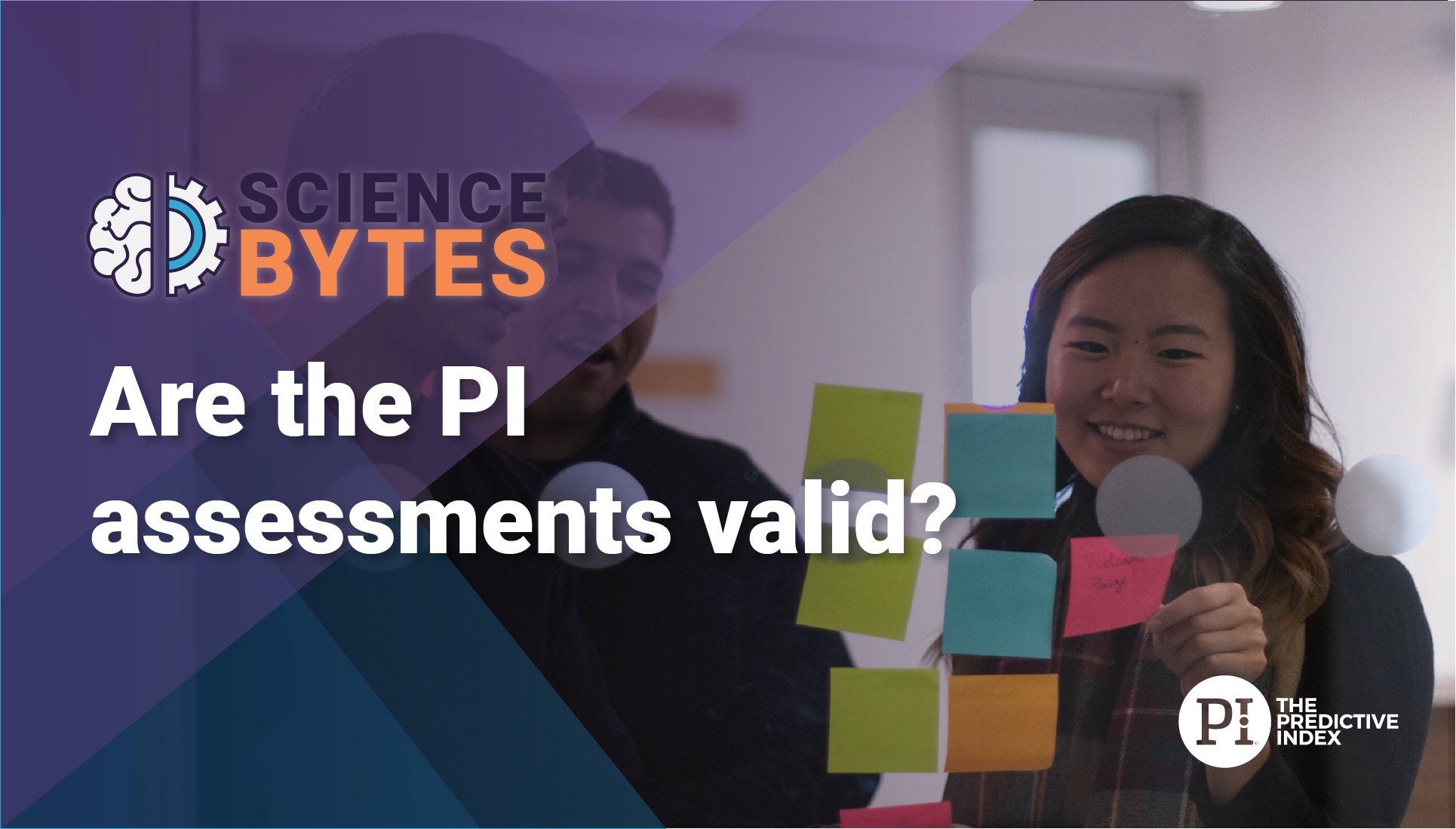 Are the PI Assessments Valid