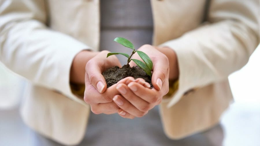 Woman holding soil with small plant growing